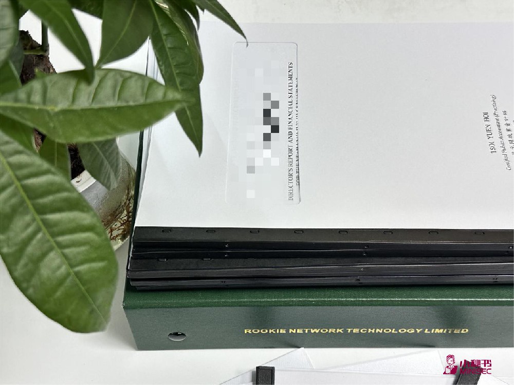 香港公司注册成功后如何维护？